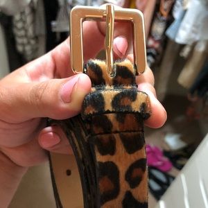 Cheetah Belt